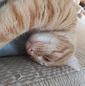 Meet your Posher, April